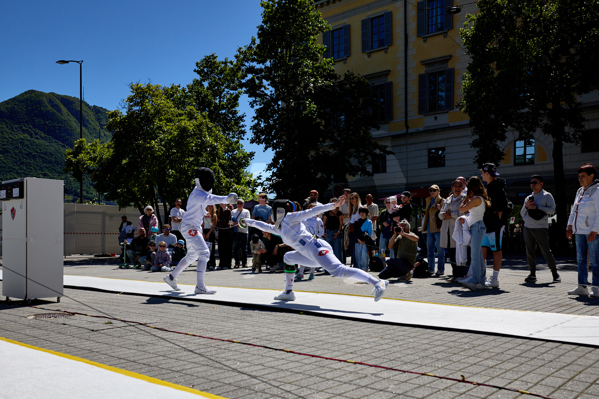 Fencing_8131